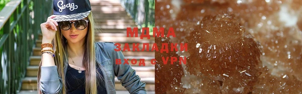 гашик Алексин