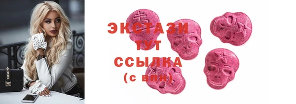 гашик Алексин