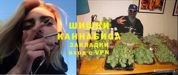 гашик Алексин