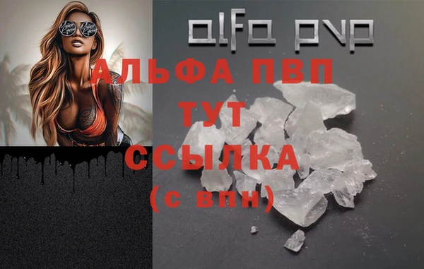 гашик Алексин