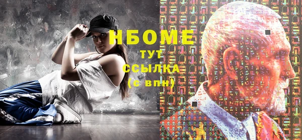 гашик Алексин
