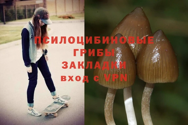 крисы Протвино