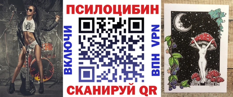 Псилоцибиновые грибы Psilocybe  Ковылкино 